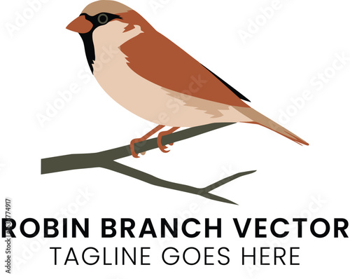 Brown Robin Bird on Branch Vector Illustration Nature red art wing beak tree cute icon logo park    