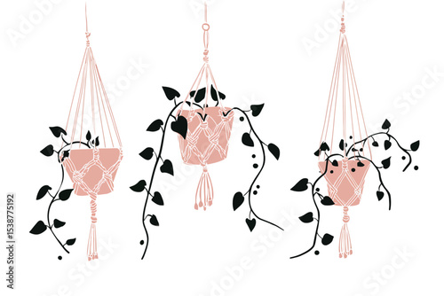 Three Pink Macrame Hanging Planters Black Vines plant holder