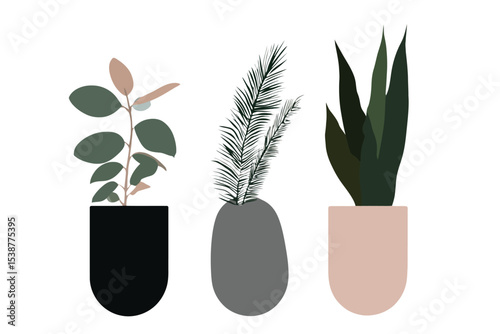 Three potted plants minimalist illustration green leaves black grey beige pots
