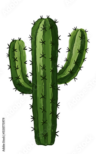 hand drawn cactus plant isolated white background 