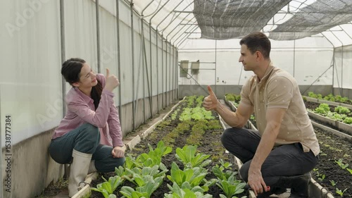 Caucasian farmers couple give a thumbs up to show their success and work happily and joyfully work on a hydroponic vegetable greenhouse farm.
