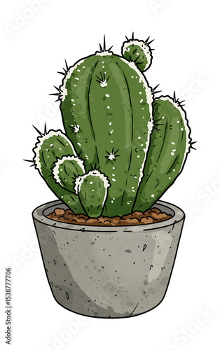 hand drawn cactus plant isolated white background 