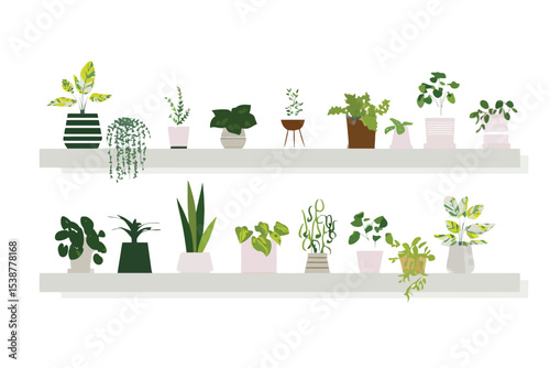 Two Shelves Green Plants Houseplants Potted Plants Home Decor