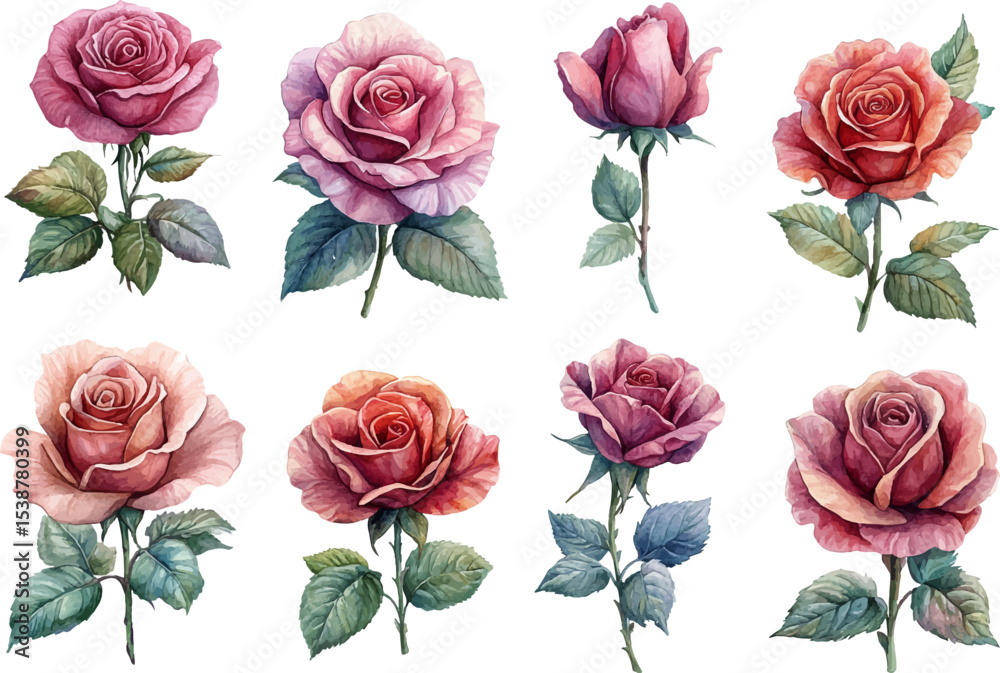Naklejka premium collection of roses