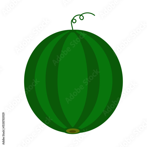 Round watermelon, flat vector illustration. Minimalist vector illustration on white background, symbolizing summer atmosphere and healthy eating