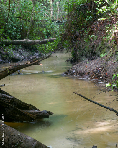 Coon Creek Bridge