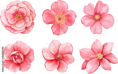 set of pink flowers isolated