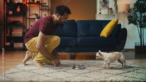 Man giving food to his Chihuahua dog, teaching good behavior, obedience training