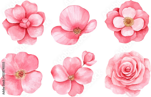 set of pink flowers