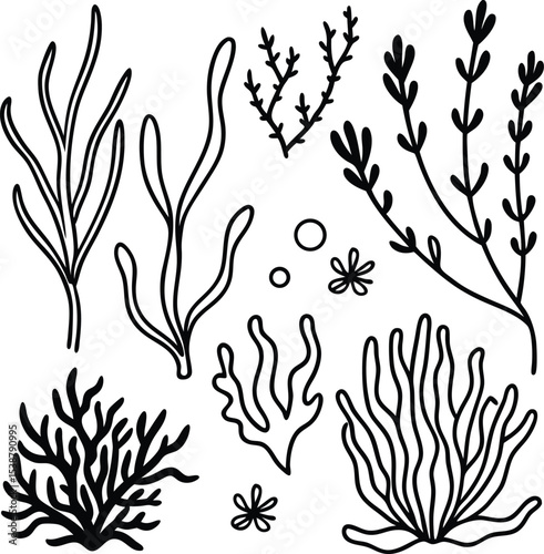 Assorted Seaweed and Underwater Plants Outline Set