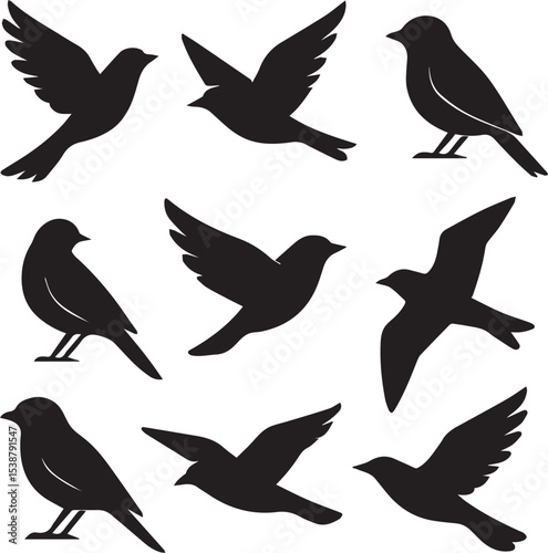 Bird Silhouette Vector Illustration – Flying and Perching Birds for Logo, Art, and Graphic Design

