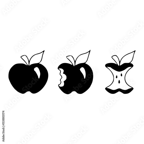 apple life cycle: from whole to core