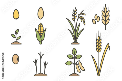 Illustrations of various crop growth stages featuring seeds, plants, and grains suitable for educational purposes