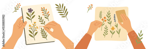 Creating a beautiful herbarium with pressed flowers and leaves at home during the afternoon