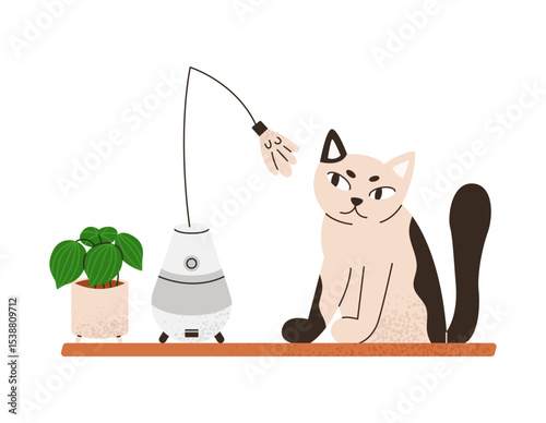 Automatic cat toy