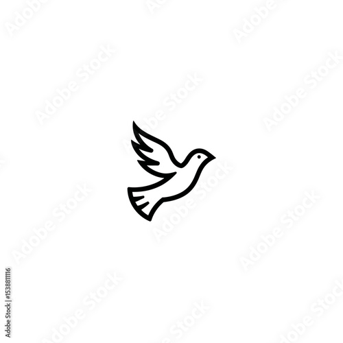 Flying dove soars gracefully within a simple white layout