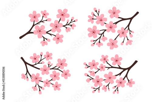 Cherry blossom branches with pink flowers showcasing delicate beauty in springtime