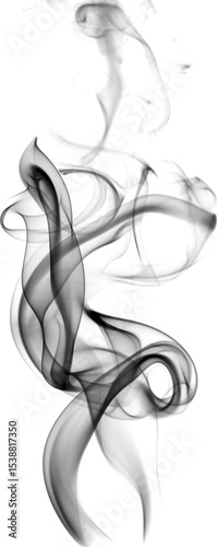 Abstract smoke swirls in black and white creating ethereal forms against a clean background