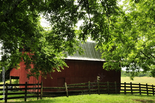 Red barn surrounded by pecan trees