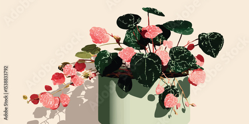 A Begonia Plant in a stylis...