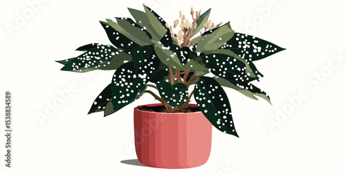 A begonia in a pot with a beautiful design is perfect for adding a touch of natural beauty and elegance to any space. The begonia's intricate patterns.