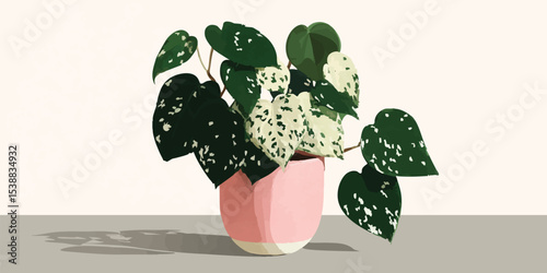 A charming polka dot plant displayed in a stylish pink pot, a testament to the beauty of nature and simple elegance. 