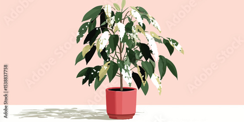 A vibrant houseplant with patterned leaves stands elegantly in a minimalist setting, its striking leaves and elegant form add a touch of freshness and tranquility to the indoor space.