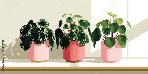 Three potted plants in pink pots sit on a window sill, bathed in sunlight.  The plants are lush and green, showing vibrant health and growth.