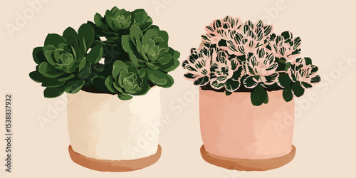 Two succulent plants in different colored pots. One pot is white and the other is pink. The succulents are green and have a variety of textures. The background is a light beige. 