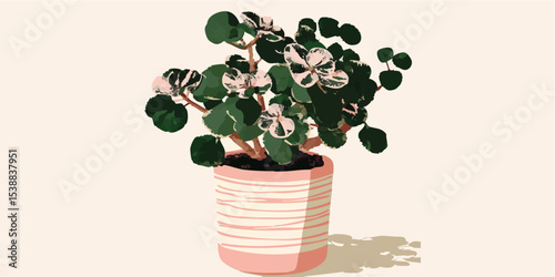 A charming indoor plant in a decorative pot, showcasing its vibrant foliage with a stylish touch.