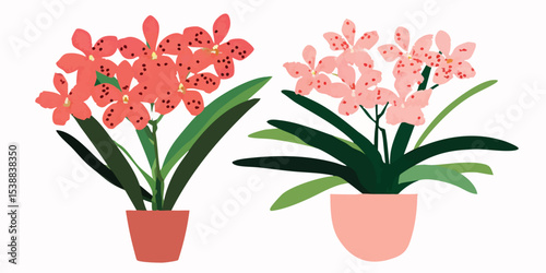 Two stunning orchids bloom in decorative pots, their vibrant colors and delicate forms creating a sense of botanical beauty. Perfect for projects needing illustrations of flowers.
