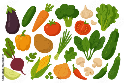 Colorful collection of fresh vegetables arranged beautifully on a white background for healthy cooking ideas