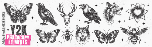 Intricate y2k-inspired illustrations of nature's diversity featuring birds, insects, and wildlife