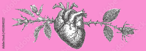 Symbolic representation of love blending a heart with thorns and roses on a bright pink background