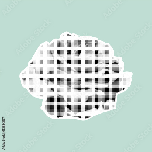 Stylized halftone rose in black and white on pastel background. Vintage retro design. Trendy vector illustration.