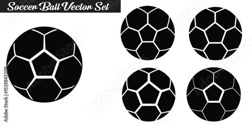 A set of soccer balls vector 