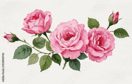 Velvet Mist pink roses roses isolated watercolor vector illustration svg