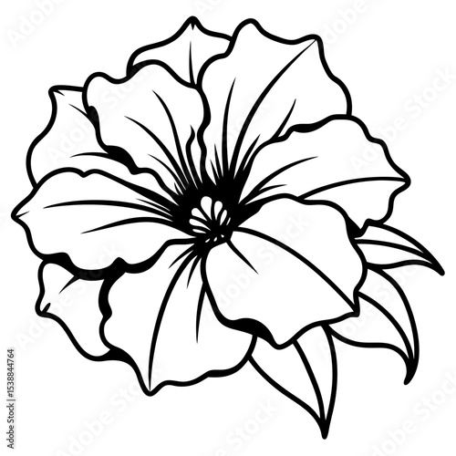 Minimal Petunia Illustration