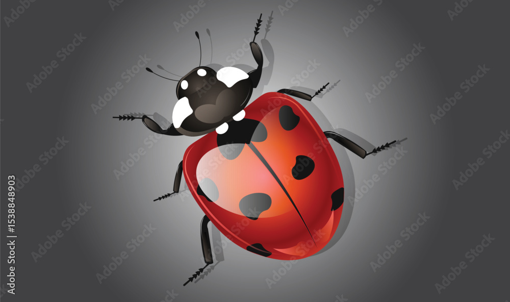 Fototapeta premium Ladybug cartoon insect vector cute character isolated on white background. Vector illustration