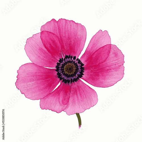 Aqueous Bloom flower isolated watercolor vector illustration svg
