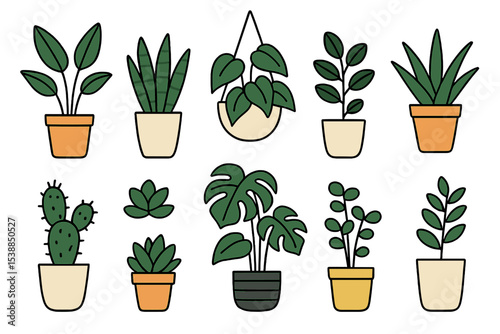 Various indoor plants in colorful pots showcasing diverse shapes and sizes for home decoration and gardening inspiration