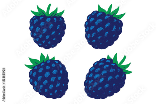 Colorful illustration of blackberries showcases their rich texture and vibrant hues on a simple background