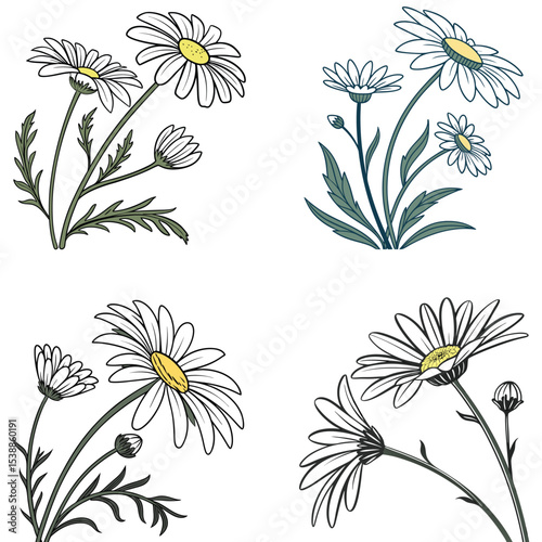 Daisy flower SVG vector, white petals with yellow center, clean lines, centered composition, white background