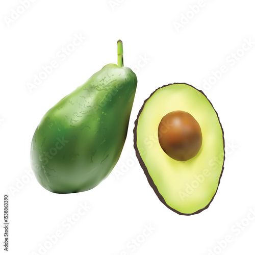 avocado fruit Slice illustration on white backgorund vol 01