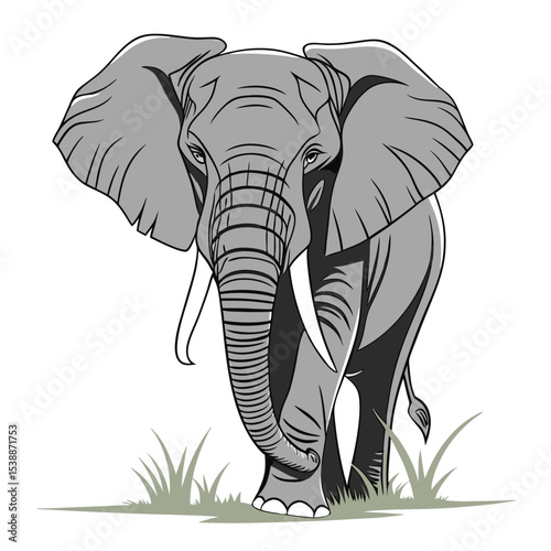 Frontal illustration of a majestic elephant on white background
