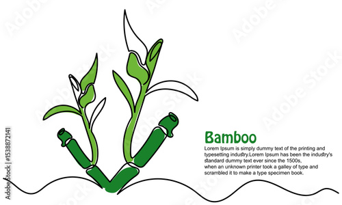 continuous line of bamboo. Single line bamboo tree drawing for a plantation logo. Evergreen, flowering plant icon with a modern, minimal vector style.Green bamboo with leaves isolated on a white 