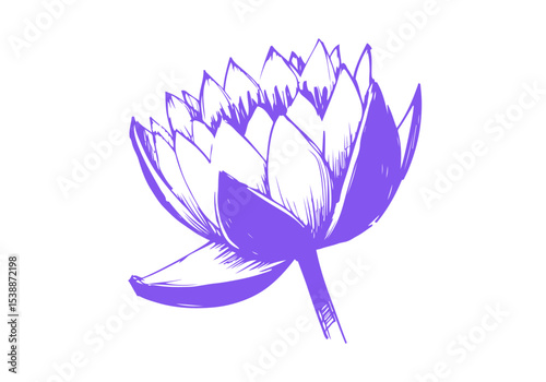 Lotus Flower Hand Drawn Natural Illustration Vector Isolated by AZ for Books, Arts, Design and Decoration Graphic Asset