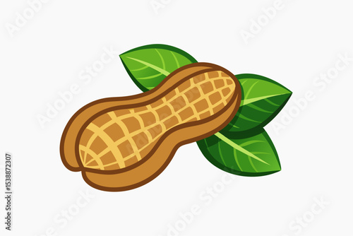 Ground nut