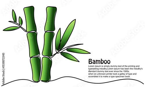 continuous line of bamboo. Single line bamboo tree drawing for a plantation logo. Evergreen, flowering plant icon with a modern, minimal vector style.Green bamboo with leaves isolated on a white 