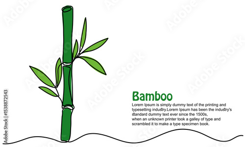 continuous line of bamboo. Single line bamboo tree drawing for a plantation logo. Evergreen, flowering plant icon with a modern, minimal vector style.Green bamboo with leaves isolated on a white 
